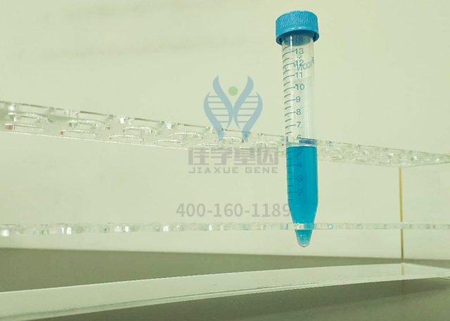 【佳學(xué)基因檢測】腫瘤單項(xiàng)基因解碼——前列腺癌