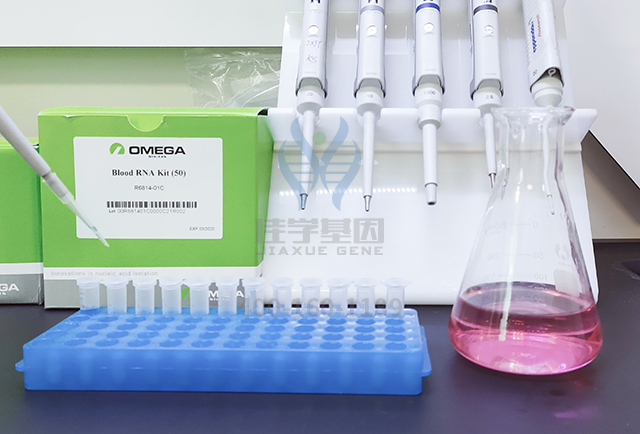 基因解碼解決方