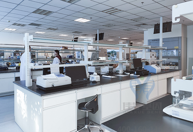 夫妻誰的基因決定了孩子智商和相貌？