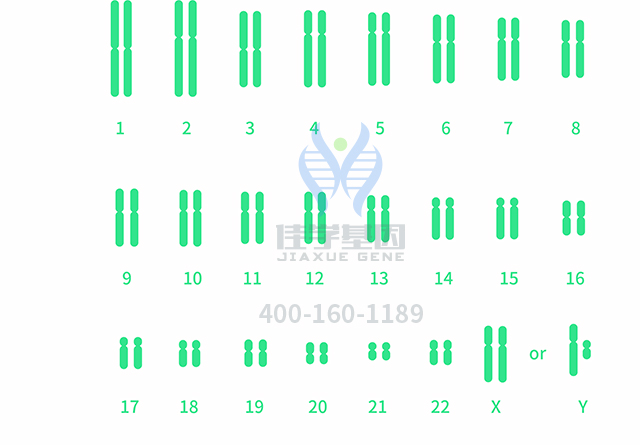 【佳學(xué)基因檢測(cè)】做多發(fā)性骨髓瘤易位1114型基因解碼、<a  data-cke-saved-href=http://www.alivewithwords.com/tk/jiema/cexujishu/2021/31933.html href=http://www.alivewithwords.com/tk/jiema/cexujishu/2021/31933.html>基因檢測(cè)</a>需要多少錢？