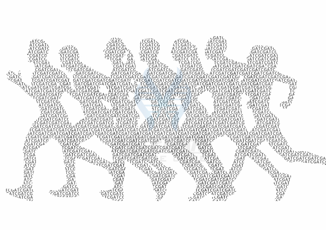 【佳學(xué)基因檢測】做耳腭指(趾)綜合征基因解碼、<a href=http://www.alivewithwords.com/tk/jiema/cexujishu/2021/31933.html>基因檢測</a>需要多長時間？