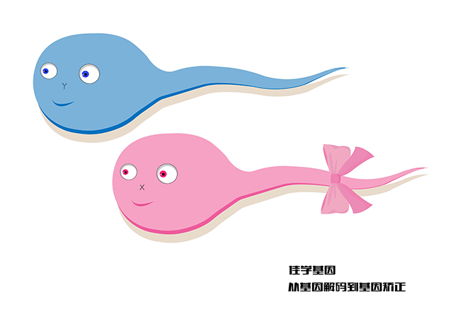 【佳學(xué)基因檢測(cè)】瞼裂降低基因解碼、<a href=http://www.alivewithwords.com/tk/jiema/cexujishu/2021/31933.html>基因檢測(cè)</a>報(bào)告時(shí)間是一樣的嗎？