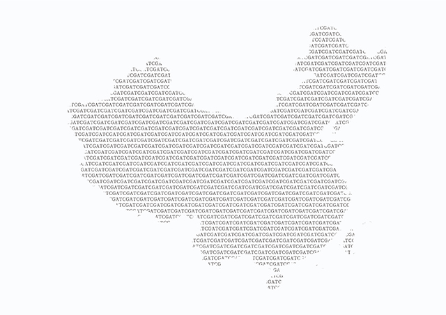 【佳學基因檢測】酸性α-葡糖苷酶等位基因2型基因解碼、<a href=http://www.alivewithwords.com/tk/jiema/cexujishu/2021/31933.html>基因檢測</a>報告看得懂嗎？