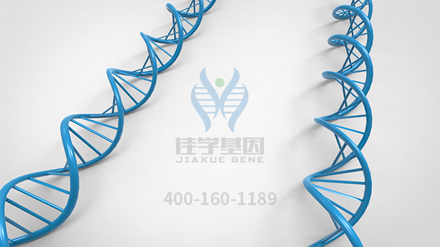 <b>【佳學(xué)基因檢測(cè)】原發(fā)性限局性皮膚淀粉樣變1型基因解碼、基因檢測(cè)報(bào)告時(shí)間</b>