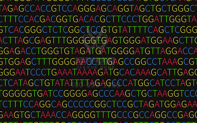 【佳學基因檢測】先天性膽汁酸合成障礙2型基因解碼、<a href=http://www.alivewithwords.com/tk/jiema/cexujishu/2021/31933.html>基因檢測</a>有什么用？