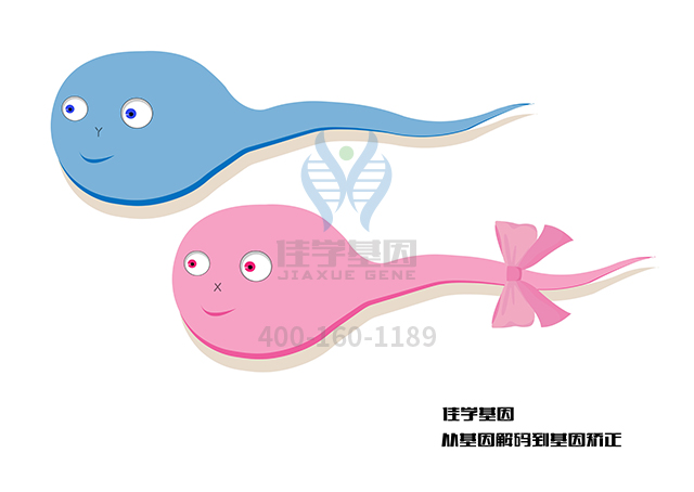 【佳學(xué)基因檢測】需要多長時(shí)間可以拿Müllerian發(fā)育不全和雄激素過多癥基因解碼、<a href=http://www.alivewithwords.com/tk/jiema/cexujishu/2021/31933.html>基因檢測</a>報(bào)告？