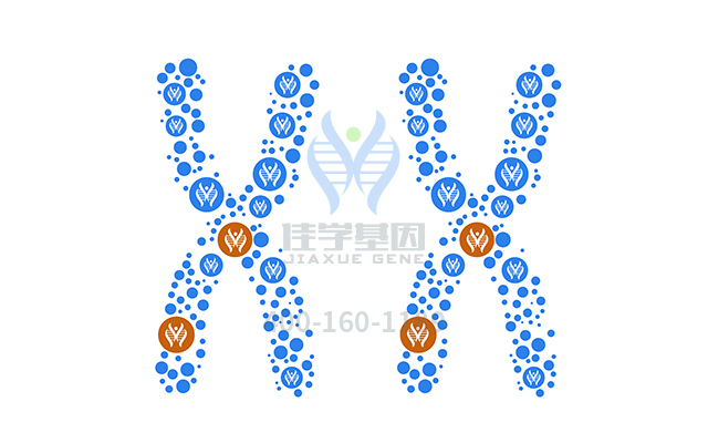 【佳學(xué)基因檢測(cè)】如何做<font color='red'><font color='red'>乳糖</font><font color='red'>不耐</font>癥</font>基因解碼、基因檢測(cè)？