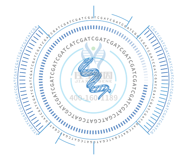 【佳學(xué)基因檢測】如何區(qū)分麥克爾綜合征（<font color='red'>Mecke</font>l綜合征）13型基因解碼、基因檢測？