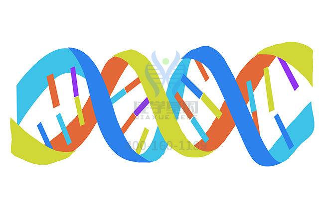 【佳學(xué)基因檢測】如何區(qū)分自閉癥嚴(yán)重基因解碼、<a href=http://www.alivewithwords.com/tk/jiema/cexujishu/2021/31933.html>基因檢測</a>？