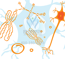【佳學(xué)基因檢測】做Denys-Drash綜合征基因解碼、<a  data-cke-saved-href=http://www.alivewithwords.com/tk/jiema/cexujishu/2021/31933.html href=http://www.alivewithwords.com/tk/jiema/cexujishu/2021/31933.html>基因檢測</a>需要多少錢？
