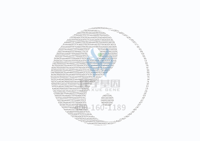 【佳學(xué)基因檢測(cè)】做網(wǎng)狀色素皮病基因解碼、<a  data-cke-saved-href=http://www.alivewithwords.com/tk/jiema/cexujishu/2021/31933.html href=http://www.alivewithwords.com/tk/jiema/cexujishu/2021/31933.html>基因檢測(cè)</a>需要多長(zhǎng)時(shí)間？