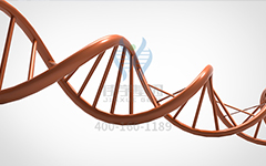 【佳學(xué)基因檢測(cè)】常染色體顯性癲癇基因解碼、<a href=http://www.alivewithwords.com/tk/jiema/cexujishu/2021/31933.html>基因檢測(cè)</a>怎么預(yù)約解讀？