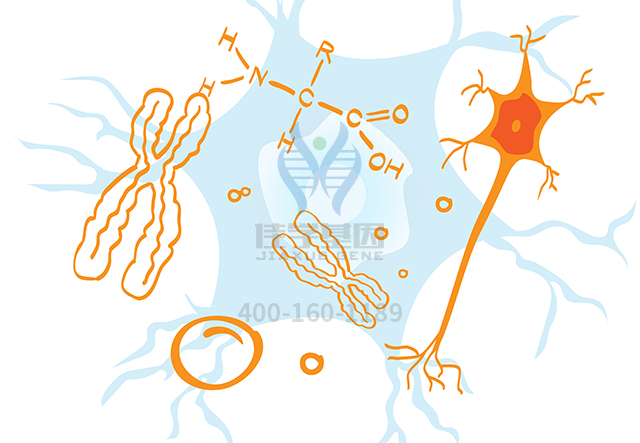 【佳學(xué)基因檢測(cè)】怎么做生精障礙12型基因解碼、<a href=http://www.alivewithwords.com/tk/jiema/cexujishu/2021/31933.html>基因檢測(cè)</a>?