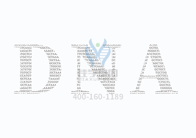 【佳學(xué)基因檢測】什么人要做由于ADA缺乏導(dǎo)致的SCID延遲發(fā)病型基因解碼、<a  data-cke-saved-href=http://www.alivewithwords.com/tk/jiema/cexujishu/2021/31933.html href=http://www.alivewithwords.com/tk/jiema/cexujishu/2021/31933.html>基因檢測</a>？