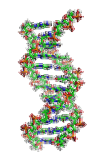 【佳學(xué)基因檢測】眼皮膚白化病4型基因解碼、<a href=http://www.alivewithwords.com/tk/jiema/cexujishu/2021/31933.html>基因檢測</a>的報(bào)告有人解讀嗎？