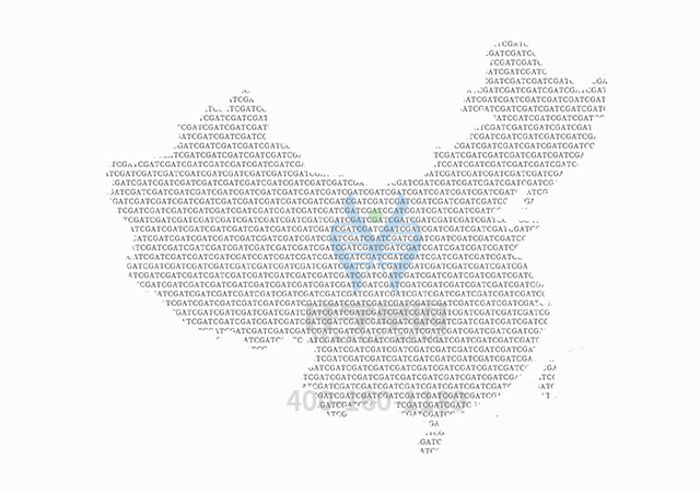 【佳學(xué)基因檢測】SDHB相關(guān)疾病基因解碼、<a href=http://www.alivewithwords.com/tk/jiema/cexujishu/2021/31933.html>基因檢測</a>可以只做基因解碼嗎？