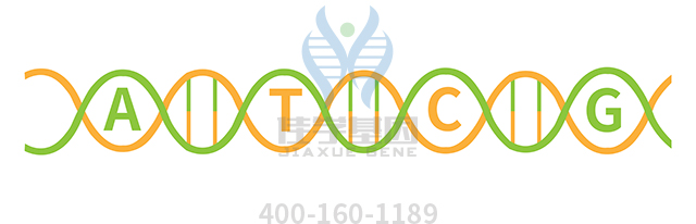 【佳學(xué)基因檢測】Townes-Brocks-branchiootorenal樣綜合征基因解碼、<a href=http://www.alivewithwords.com/tk/jiema/cexujishu/2021/31933.html>基因檢測</a>可以只做基因解碼嗎？