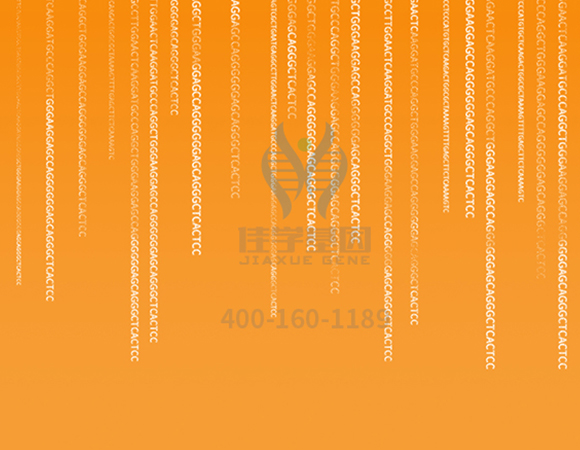 【佳學(xué)基因解碼-<a href=http://www.alivewithwords.com/tk/jiema/cexujishu/2021/31933.html>基因檢測</a>】這些舉動竟讓<font color='red'>脫發(fā)</font>的女孩們重拾自信！