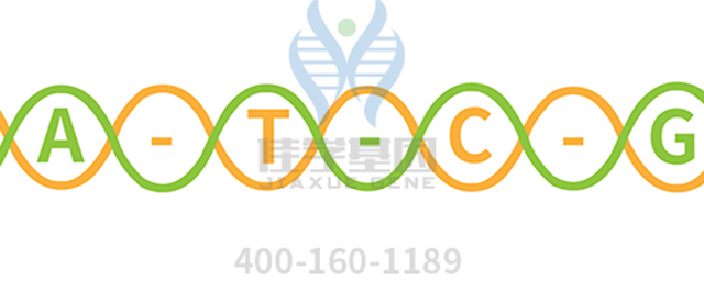 【佳學(xué)基因檢測】根本病（Nemoto disease)基因解碼、<a href=http://www.alivewithwords.com/tk/jiema/cexujishu/2021/31933.html>基因檢測</a>