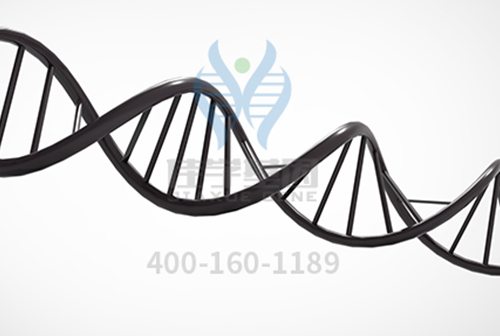 【佳學(xué)基因檢測(cè)】<font color='red'>VLDL</font>R相關(guān)小腦發(fā)育不全基因解碼搞清23種病，你還在用<a href=http://www.alivewithwords.com/tk/jiema/cexujishu/2021/31933.html>基因檢測(cè)</a>？