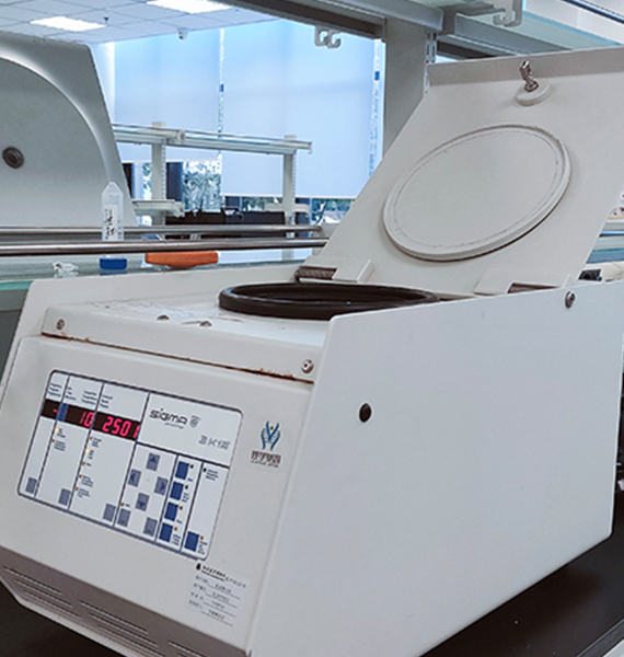 【佳學基因檢測】斯塔加特黃斑變性病（<font color='red'><font color='red'>stargardt</font></font> macular degeneration)基因解碼、<a href=http://www.alivewithwords.com/tk/jiema/cexujishu/2021/31933.html>基因檢測</a>