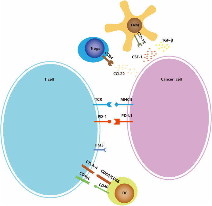 包含圖片、插圖等的外部文件。對象名稱為 fonc-13-1103147-g002.jpg
