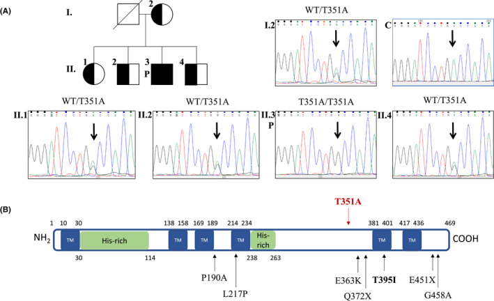 An external file that holds a picture, illustration, etc.
Object name is PAI-33-0-g001.jpg