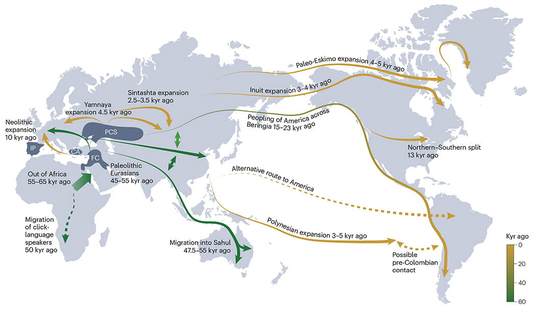 根據(jù)基因組數(shù)據(jù)推斷人類遷徙的時(shí)間線和路線