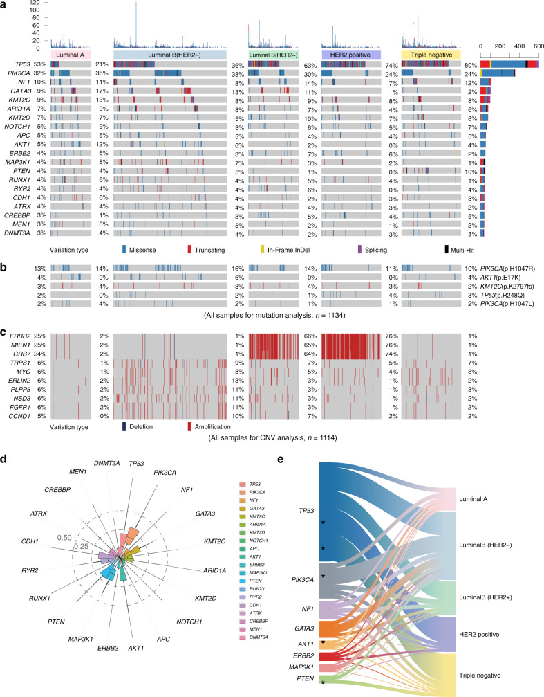 圖2:醫(yī)學(xué)基因檢測(cè)如何幫助乳腺癌患者找到靶向藥物？02