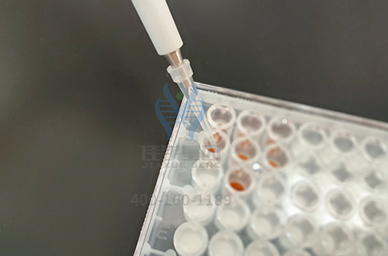 <b>【佳學(xué)基因檢測</b>