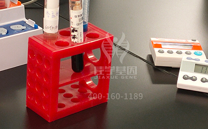 <b>【佳學基因檢測</b>