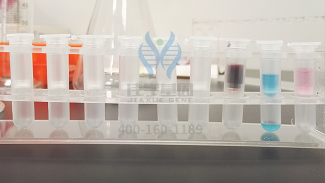 <b>【佳學(xué)基因檢測</b>