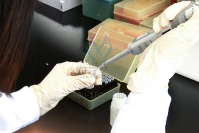 全基因測(cè)序CYP19A1疾病篩查有意義未明突變，我該怎么辦？