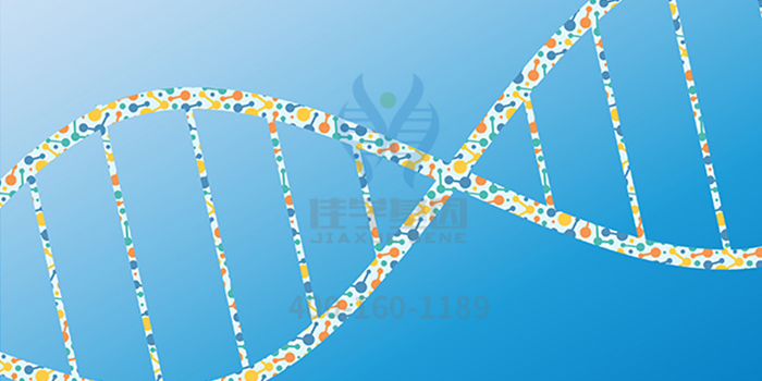 <b>【佳學(xué)基因檢測(cè)</b>