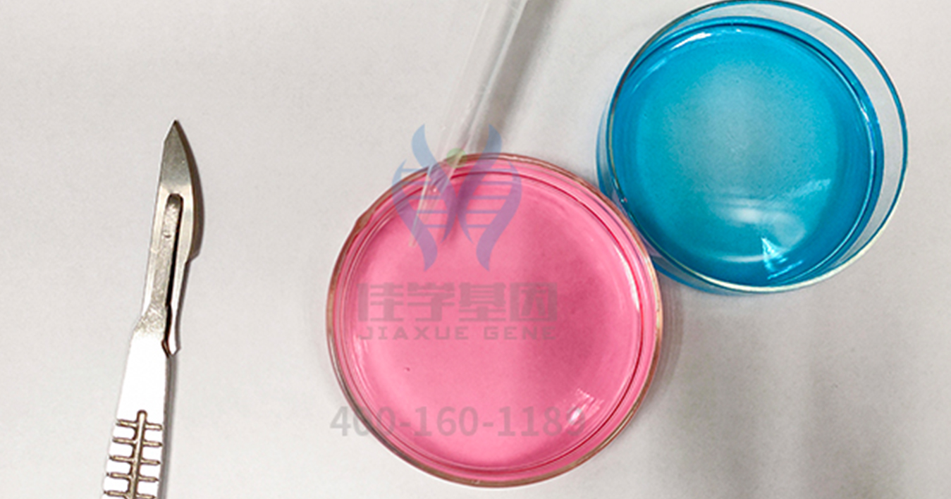 <b>【佳學(xué)基因檢測</b>