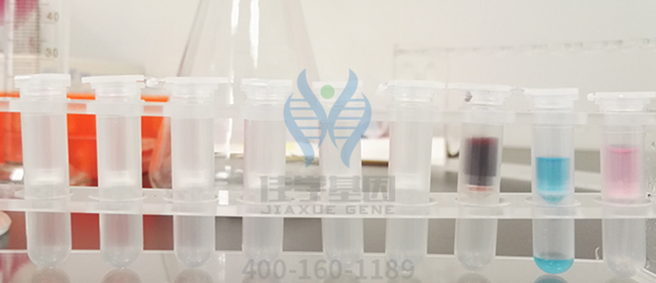 <b>【佳學(xué)基因檢測</b>