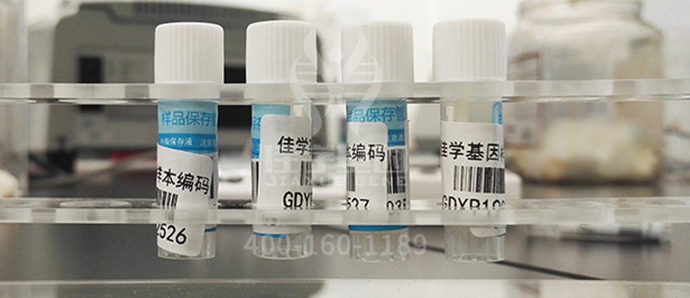 <b>【佳學(xué)基因檢測</b>