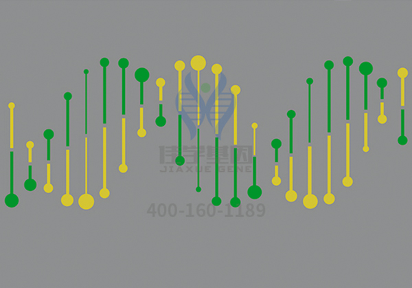 【佳學基因-基因檢測】基因解碼助力雷特綜合征(RETT綜合征）有效防治