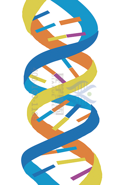 【佳學(xué)基因-基因檢測(cè)】青光眼危害性極大，我們?cè)撊绾卧缙陬A(yù)防，早期發(fā)現(xiàn)？